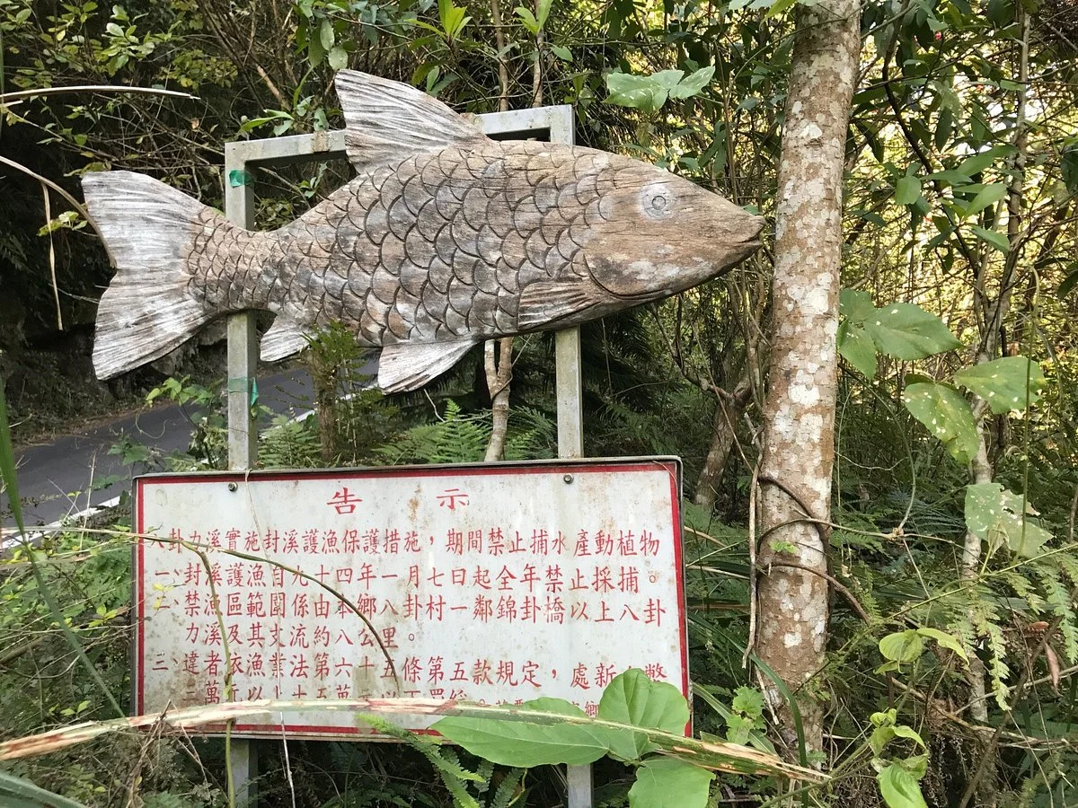 Baguali River Fish Watching Trail