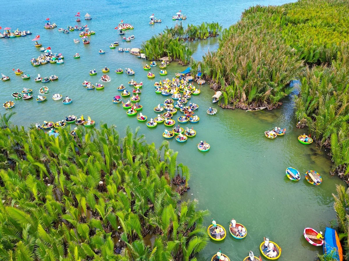 Rung Dua Bay Mau