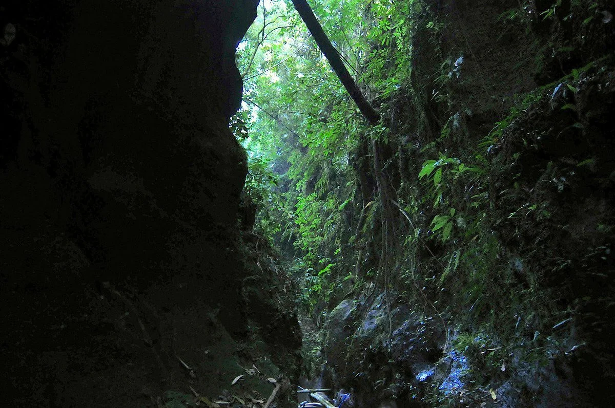 Taro Village Experience