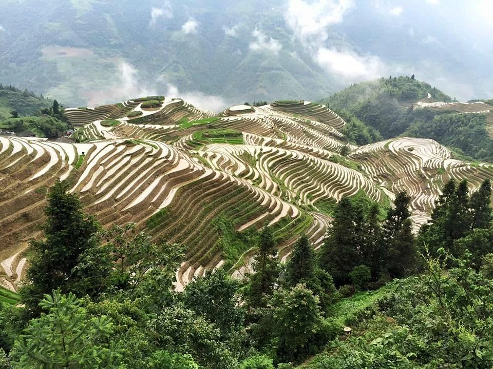 Longsheng Town