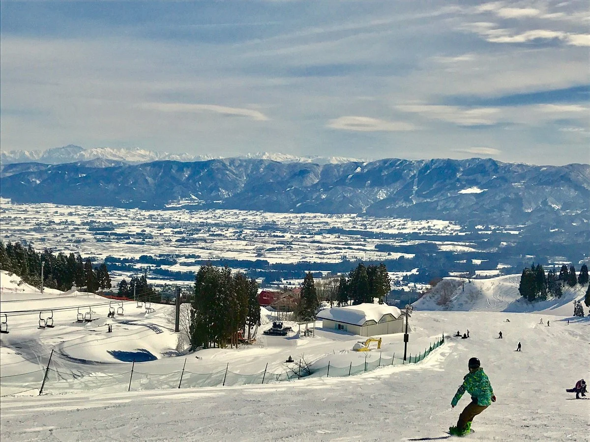 Iox Arosa