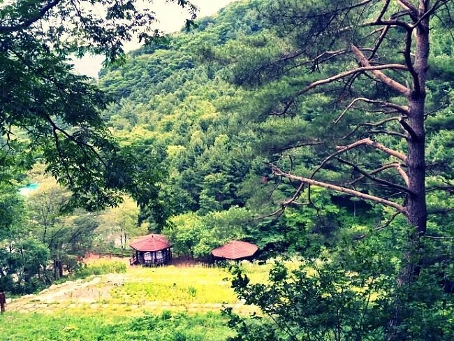 Geumbong Recreational Forest