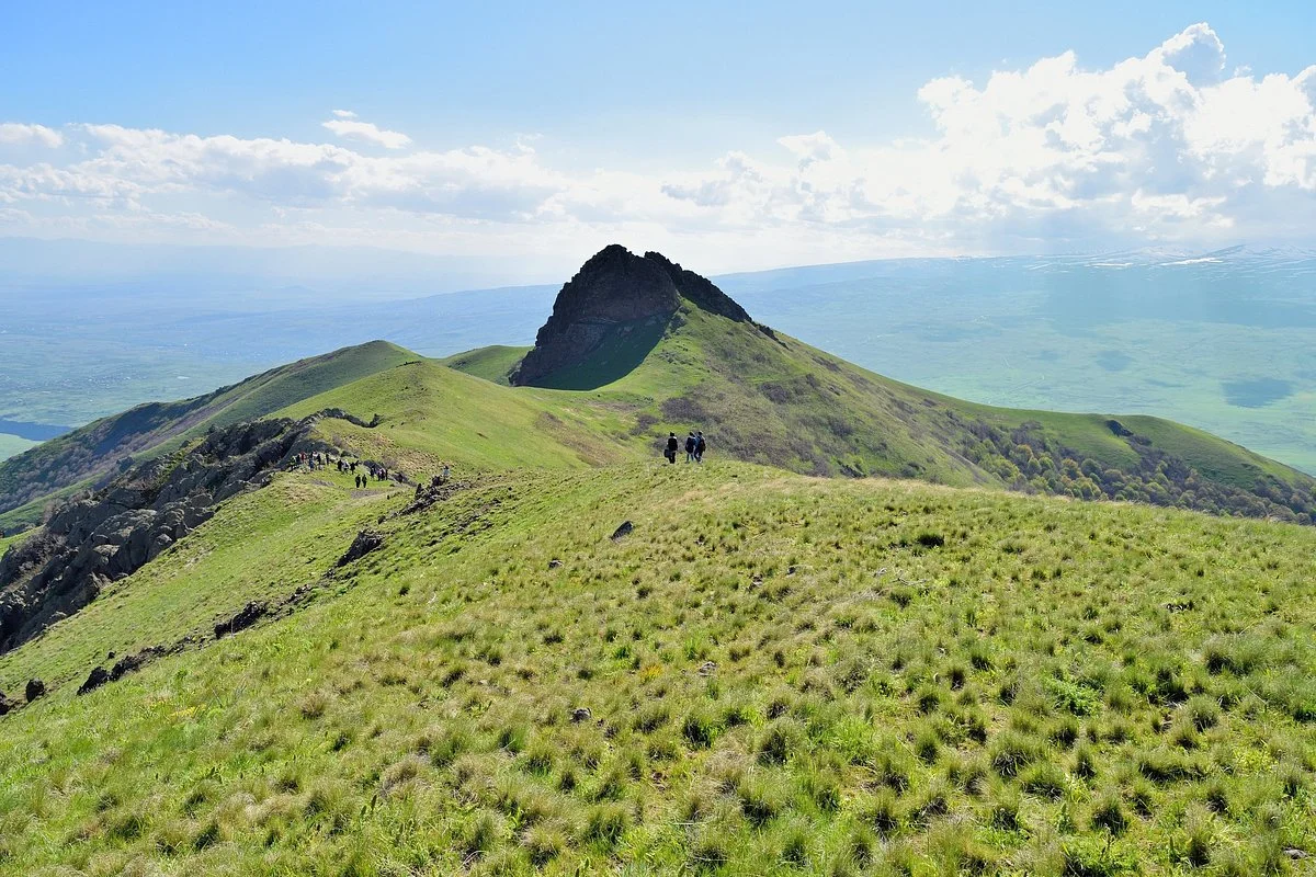 Mountain Ara