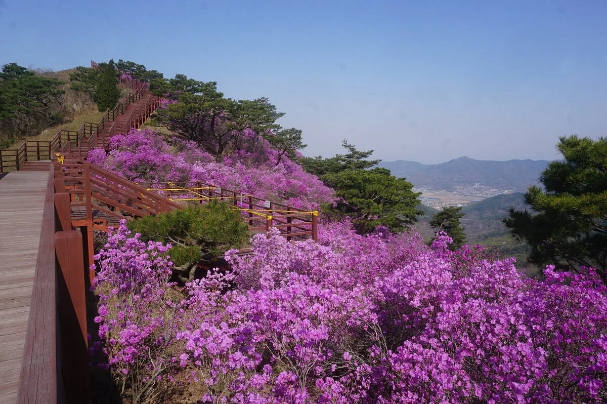 Goryeosan Mountain