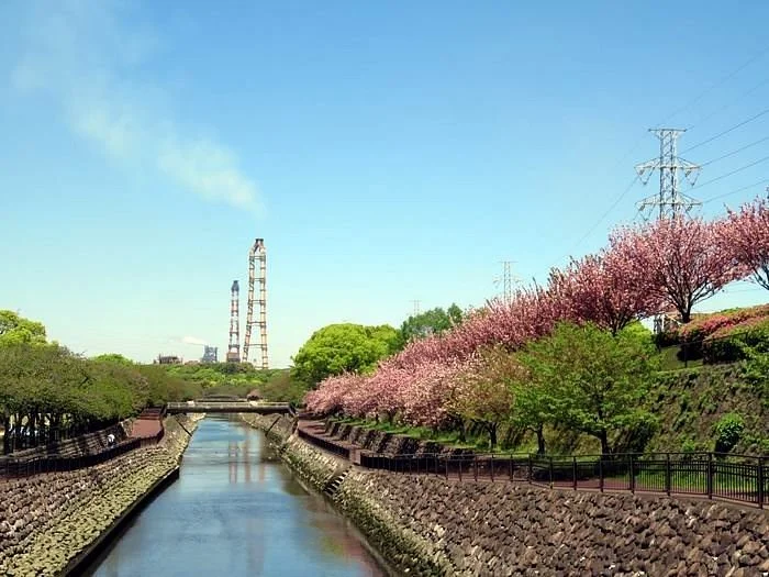 Peace Citizen Park