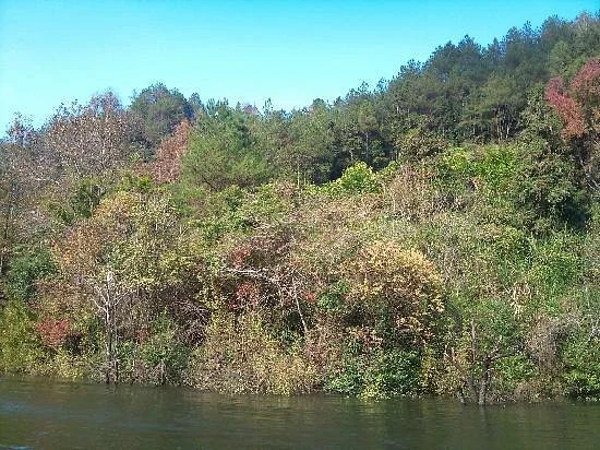 Meizhou Long Tam