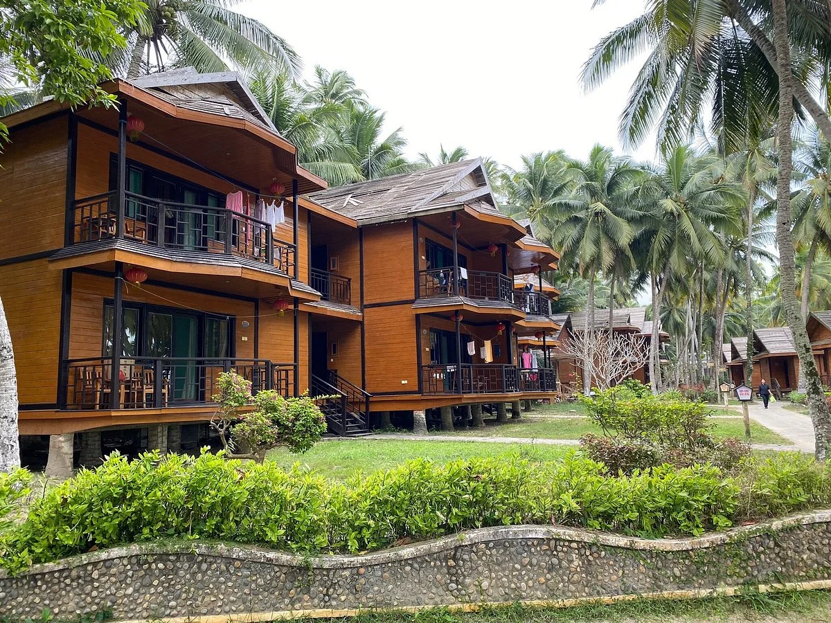 Dongjiao Coconut Forest