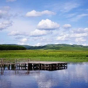 Frog Dam