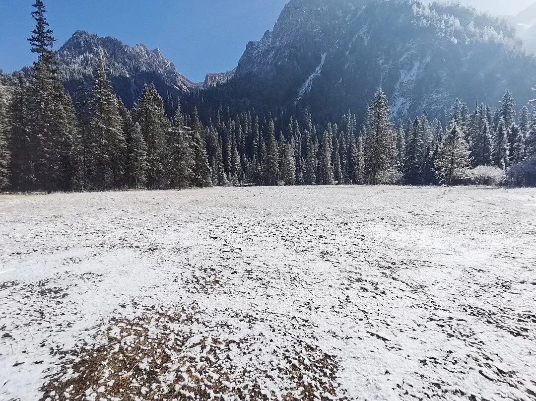Wanglang Nature Reserve