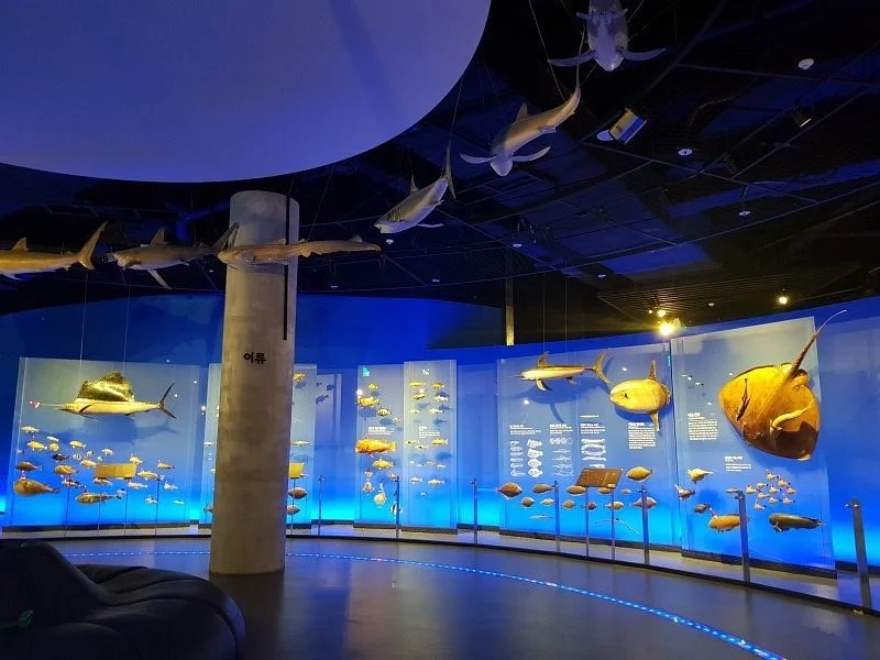 Seocheon Haeyang Museum