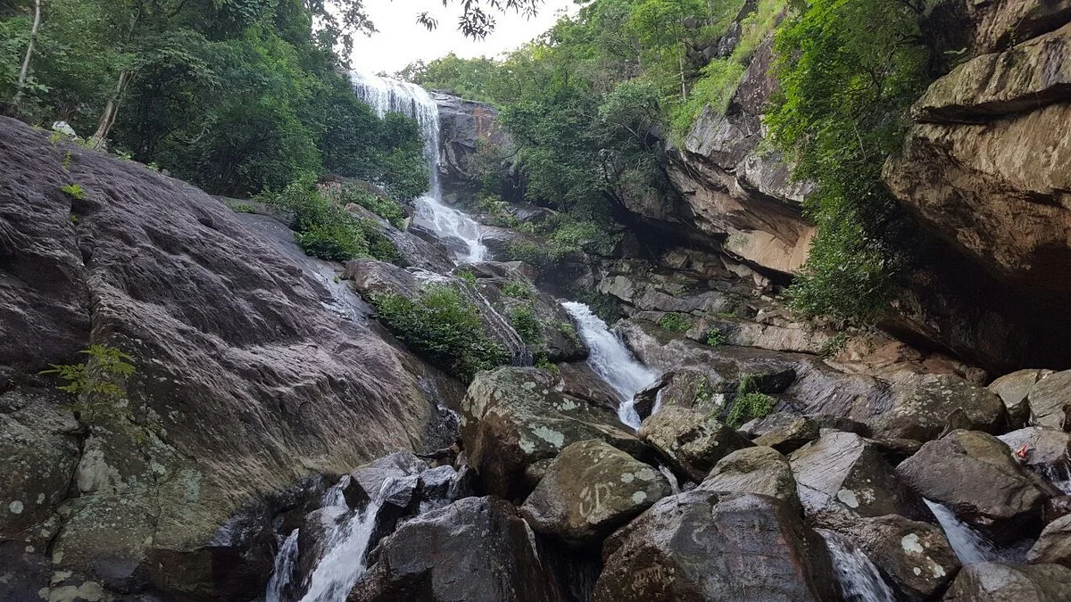 Gandhamardan Hill Trek