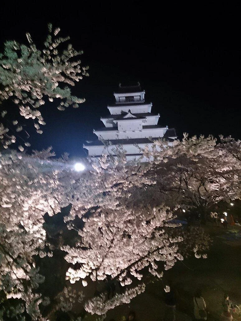 Aizu Boshin Senso Shuketsu No Chi