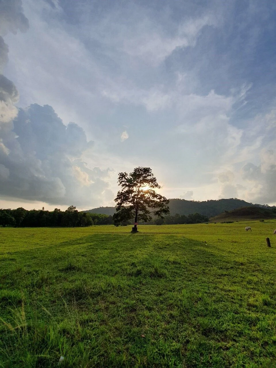 Phu Khao Ya