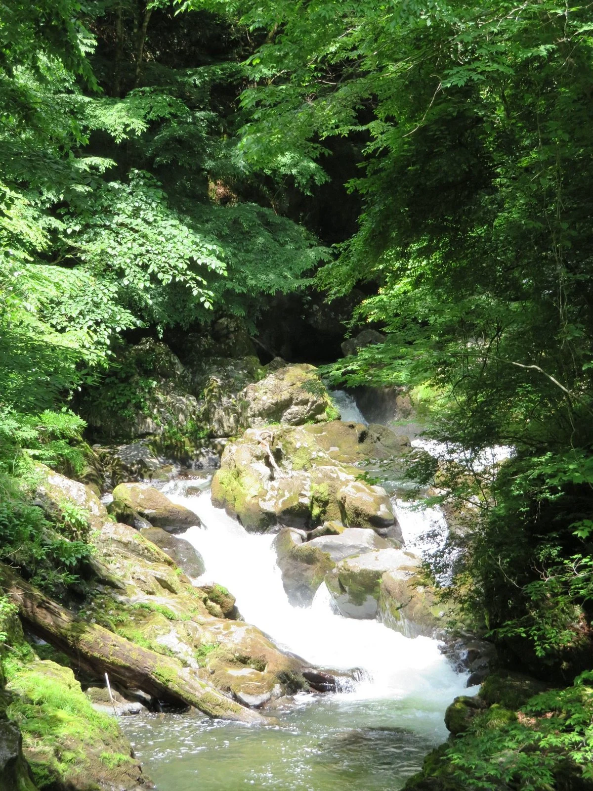 Dangyo Canyon