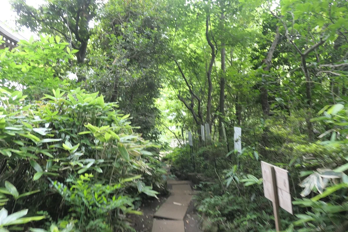 Manyo Botanical Garden
