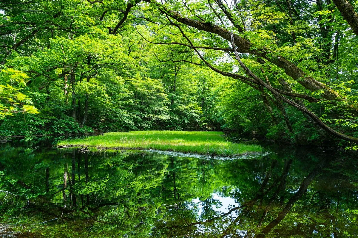 Otowa Pond