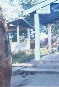 Raidongia Dol