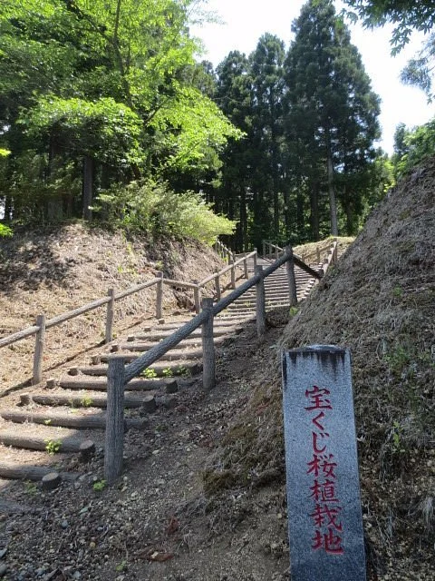 Furusato no Mori Park