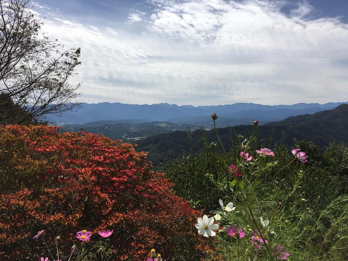 Mt. Hodosan