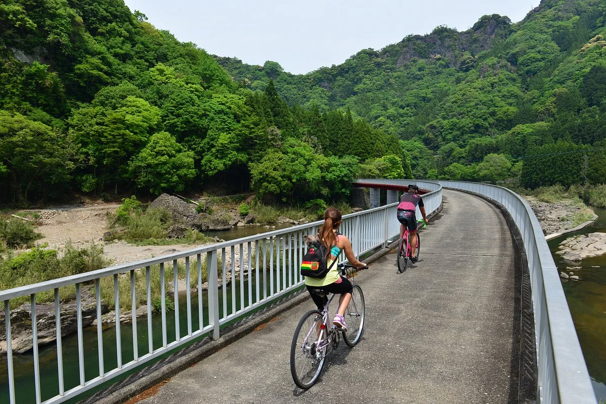 Maple Yaba Cycling Road