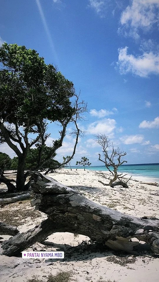 Nyama Beach
