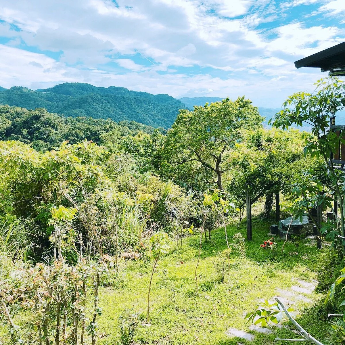 Shihting Osmanthus Farm