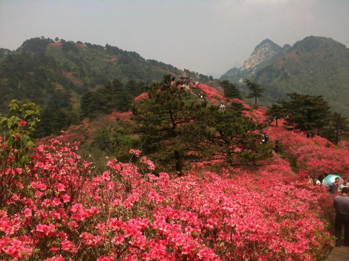 Guifeng Mountain