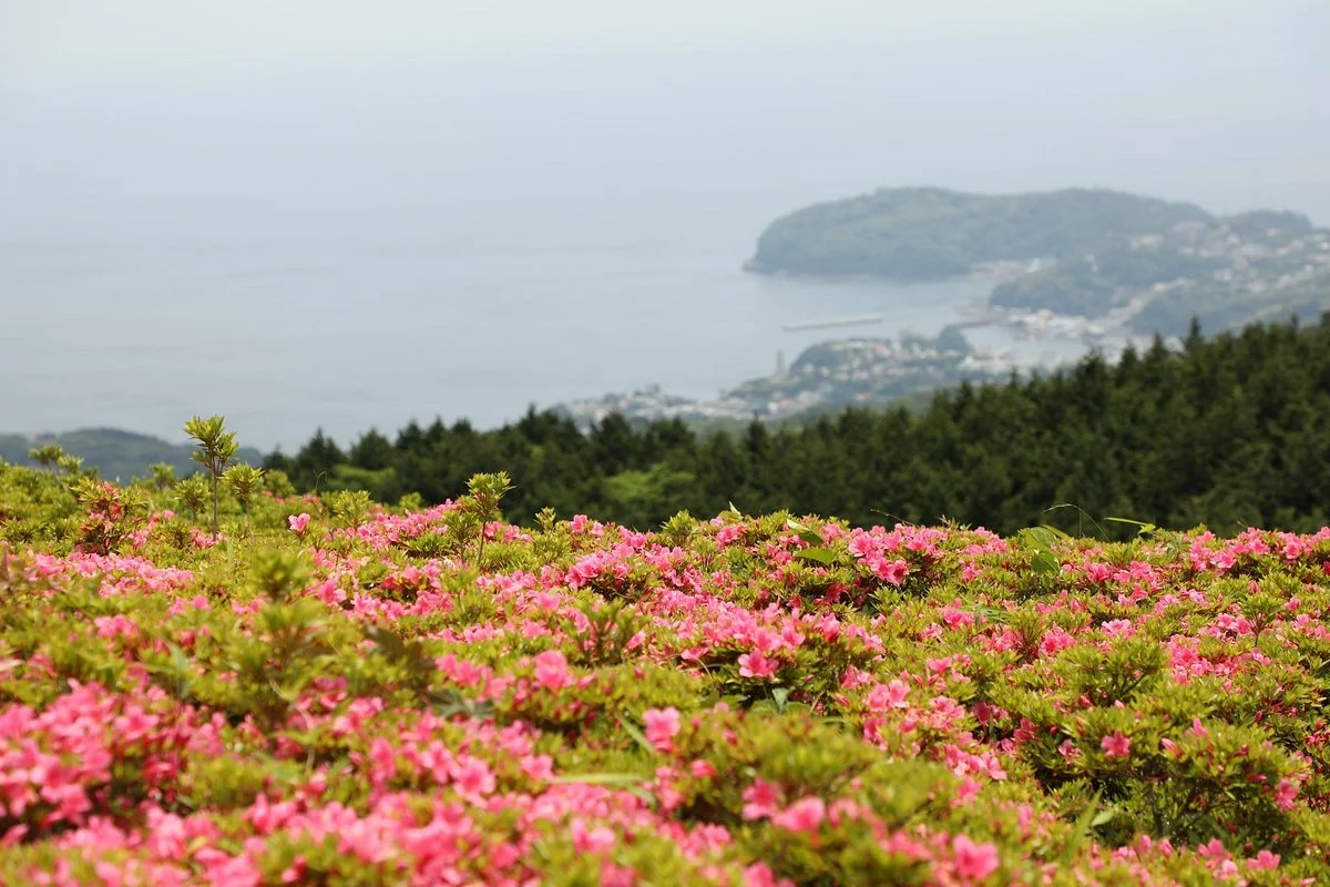 Hoshigayama Park Satsuki no sato