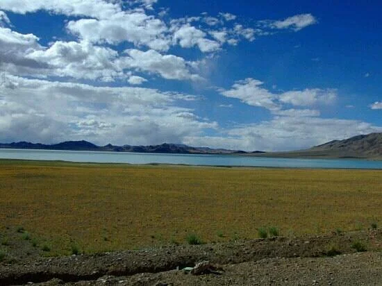 Northern Tibet Prairie