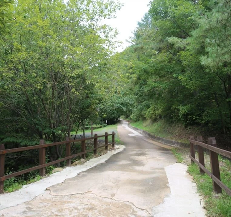 Gyemyungsan Nature Recreation Forest