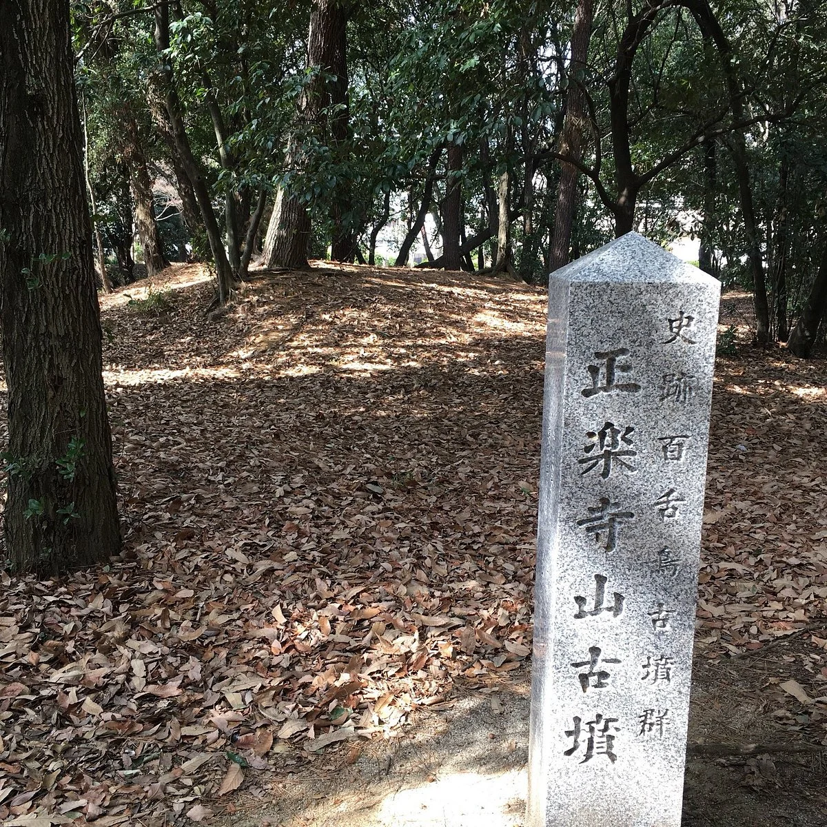 Shorakujiyama Ancient Tomb