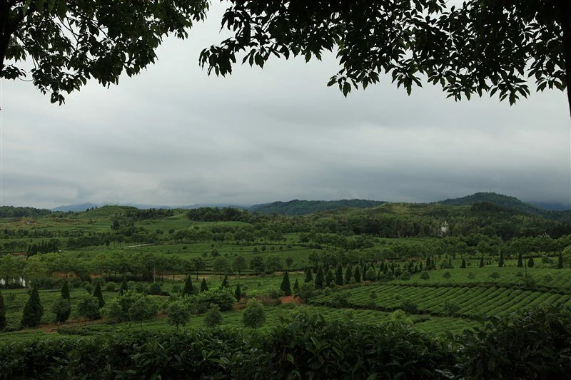 Mt. Jiugong Scenic Resort