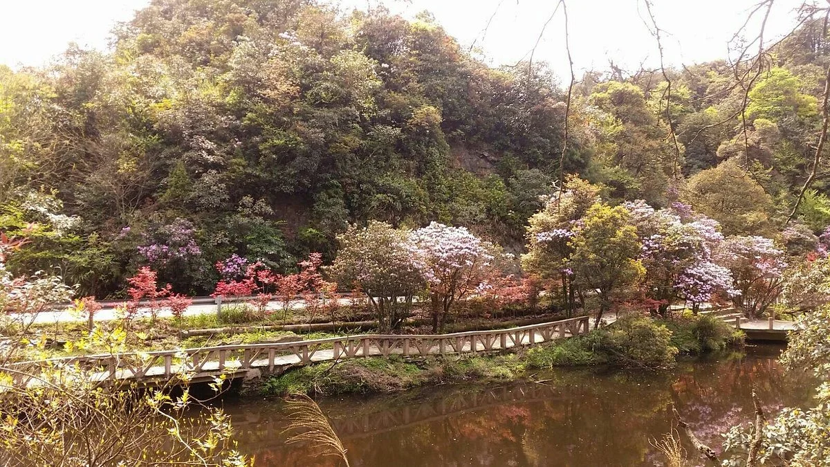 Daming Mountain of Guangxi