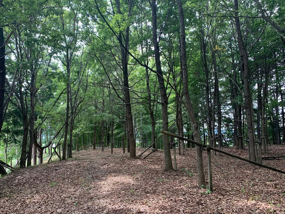 Ikazuchi no Oka Hill