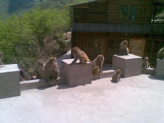 Shennong Mountain