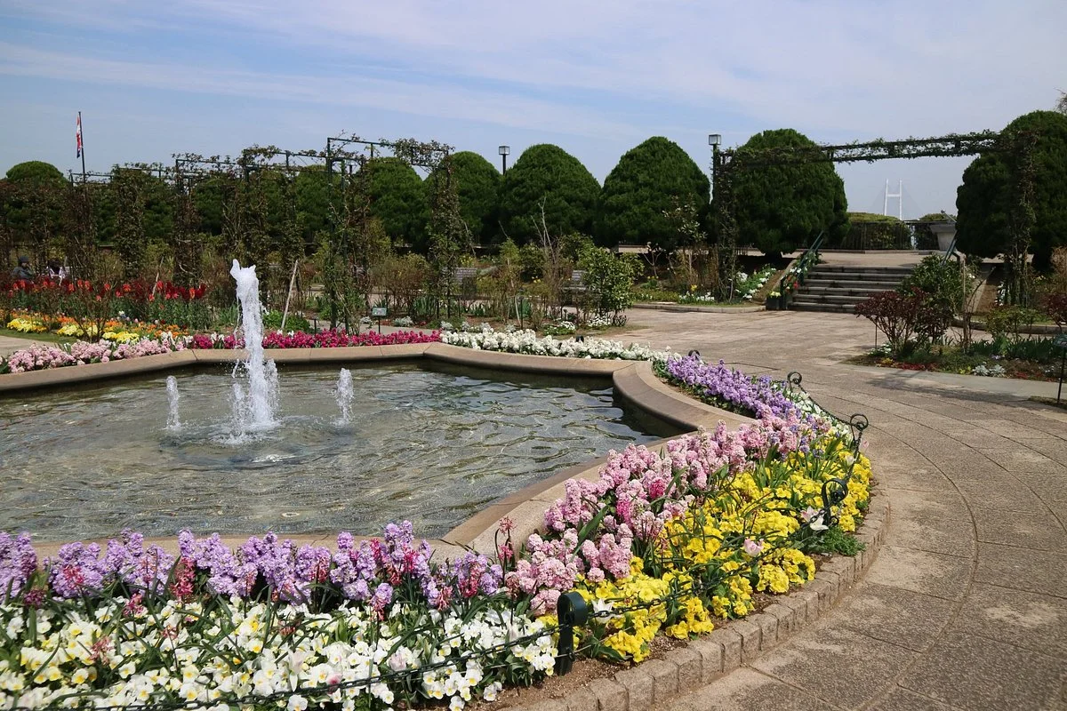 Harbor View Park