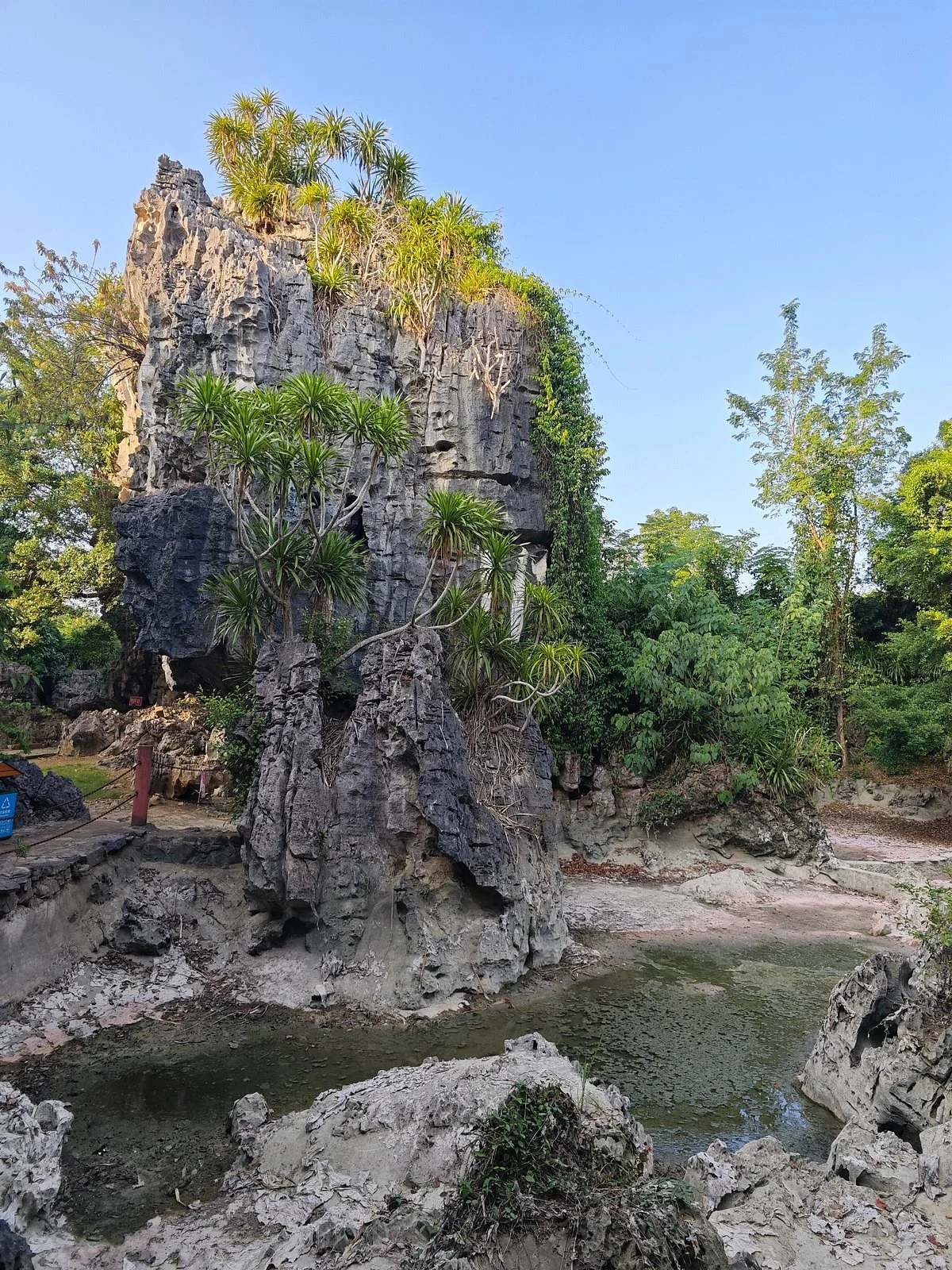 Stone Forest of Chongzuo