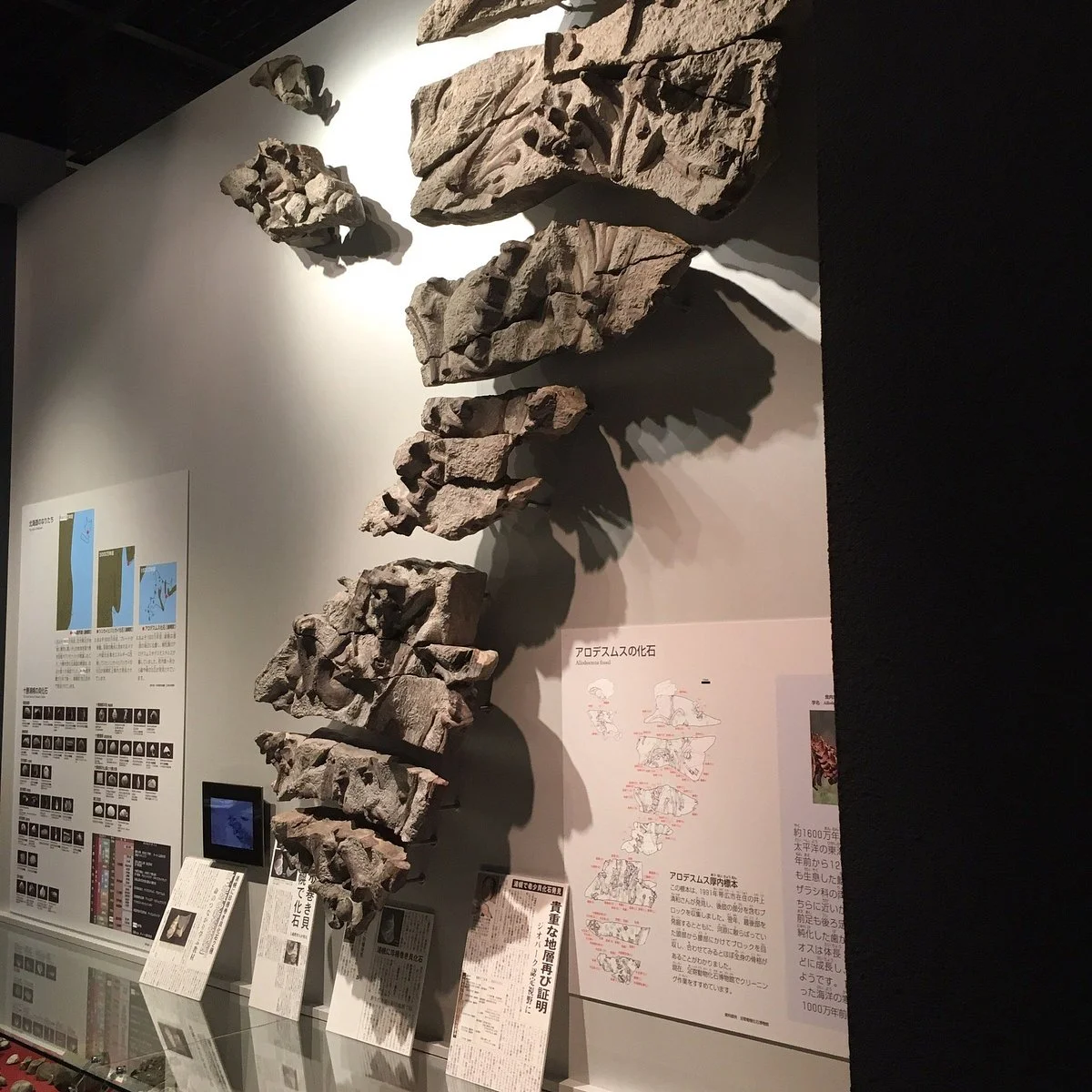 Urahorocho Museum