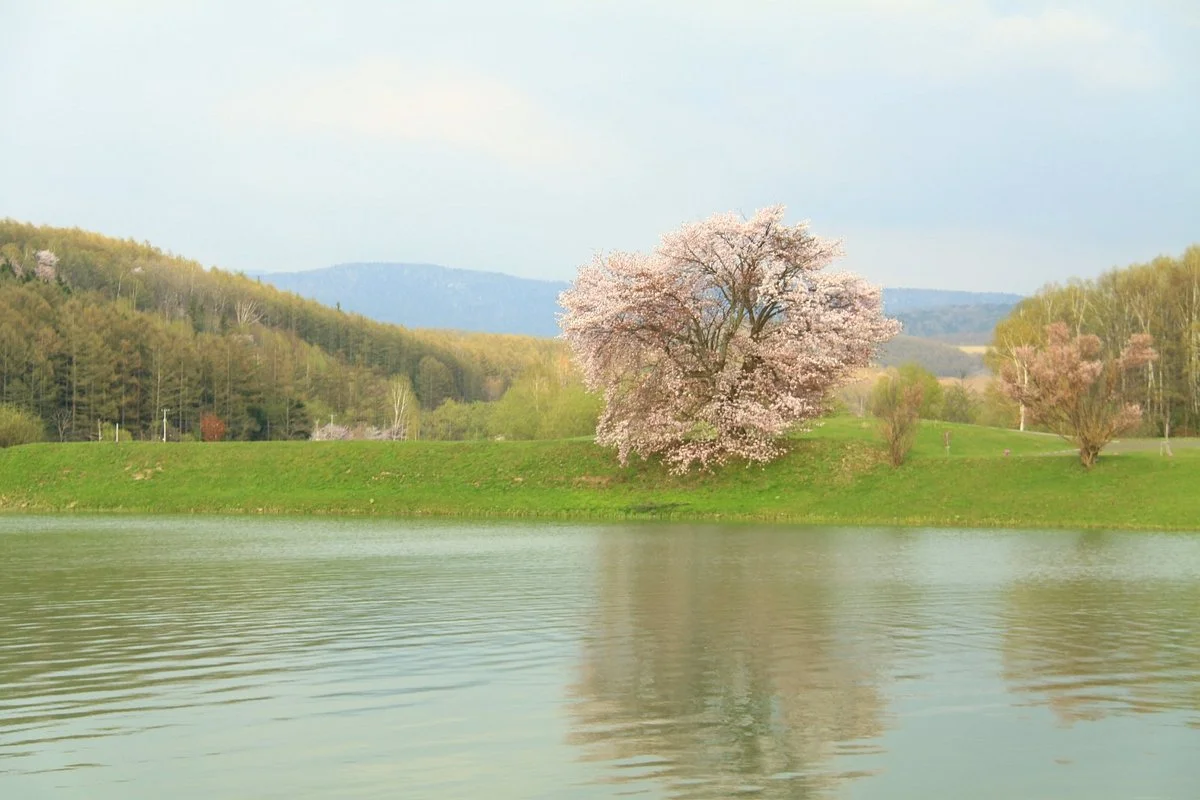 Taisetsu Yusui Park