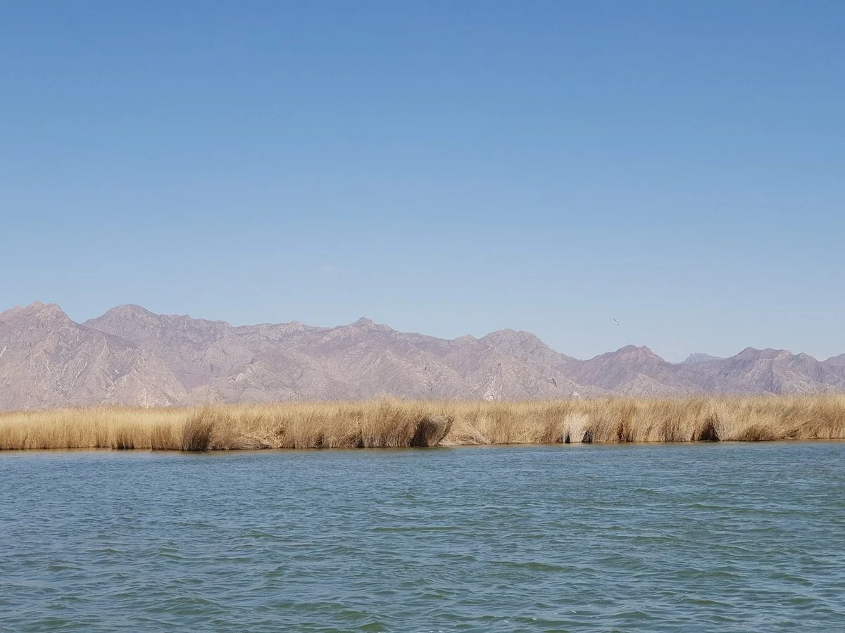 Hasuhai Lake