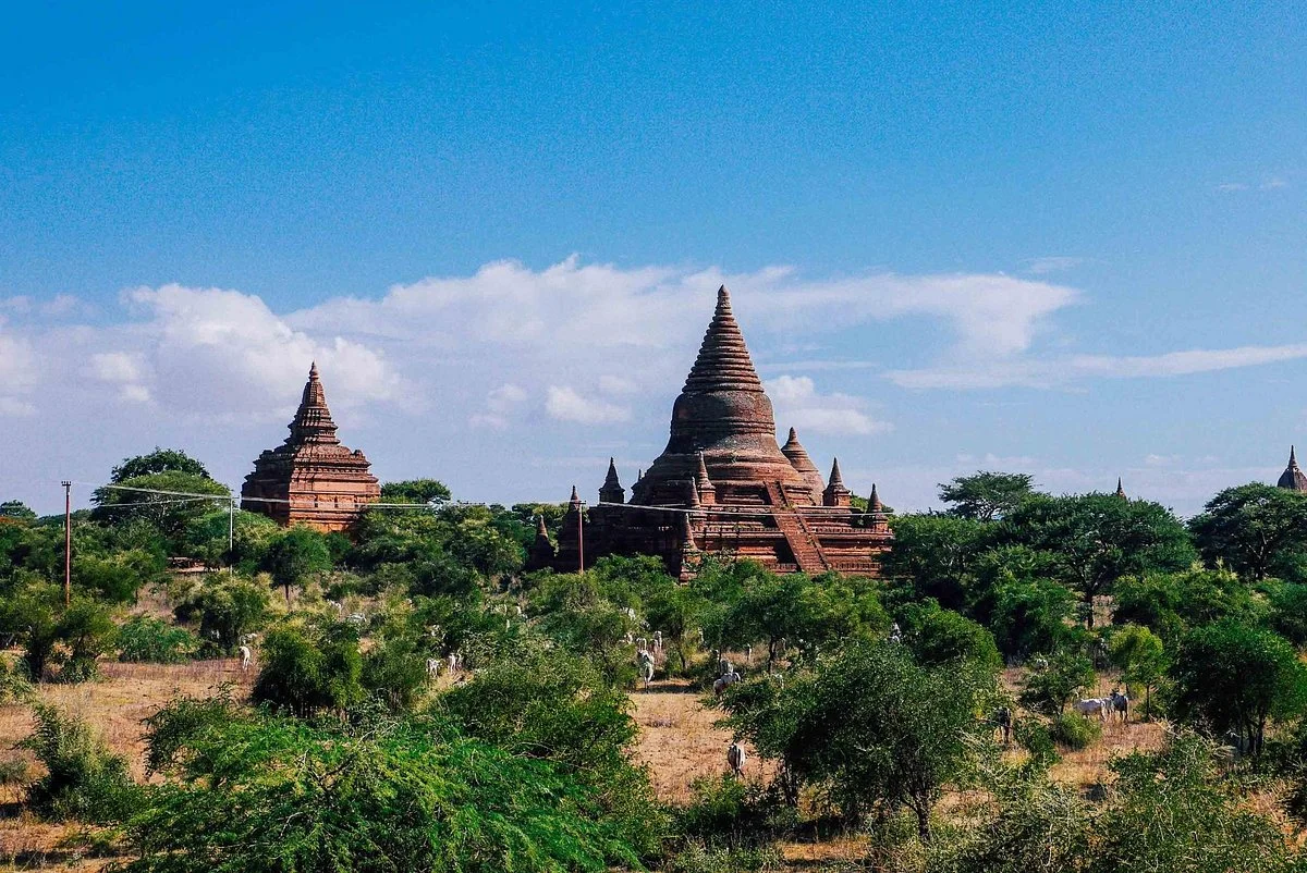 Shwe-gyu-gyi