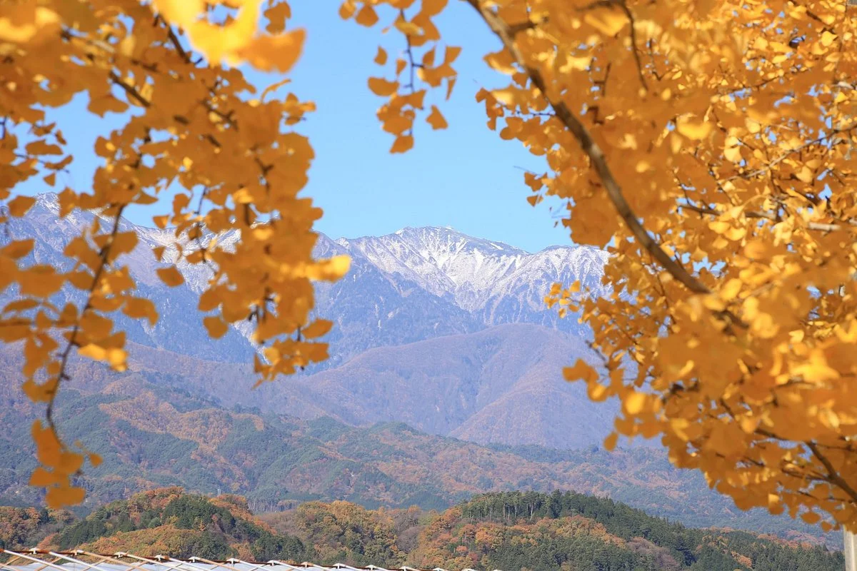 Toba no Ginnan Namiki