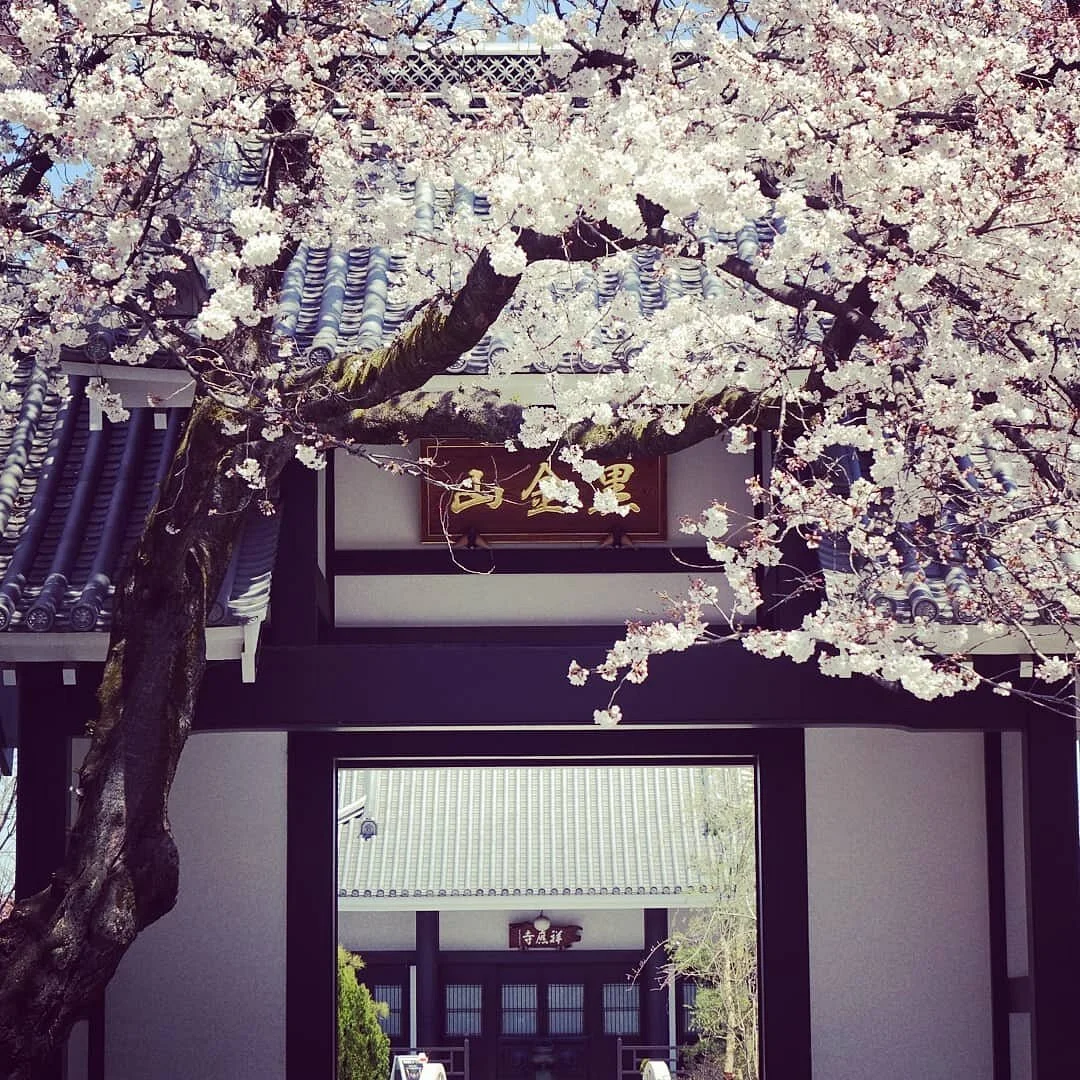 Shoo-ji Temple