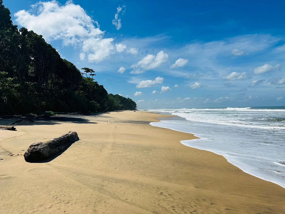 Bukit Barisan Selatan National Park