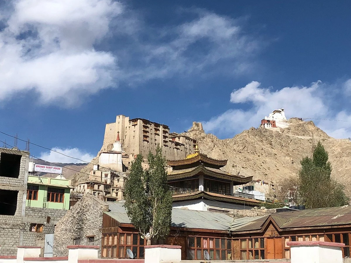 Leh Royal Palace