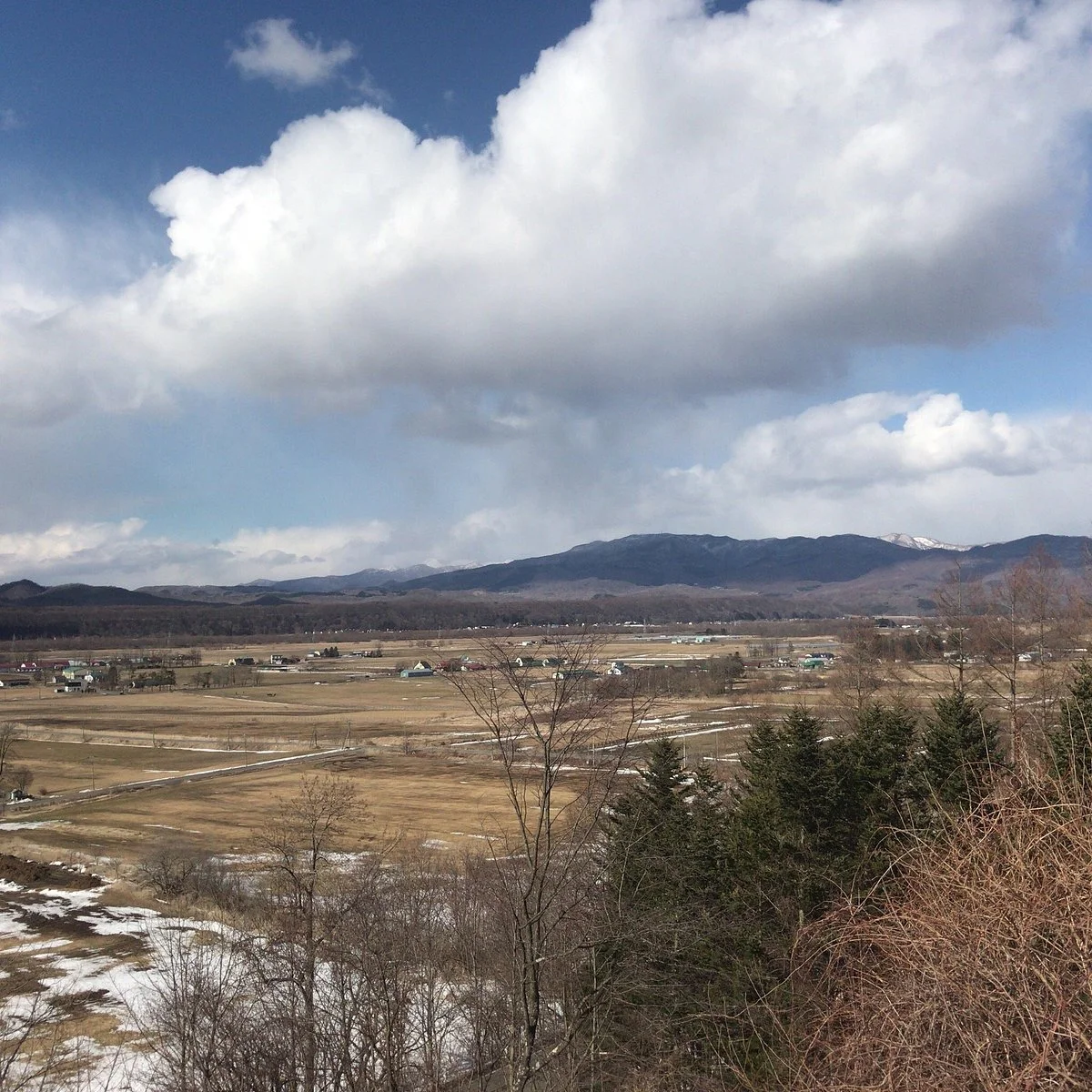 Kannodai