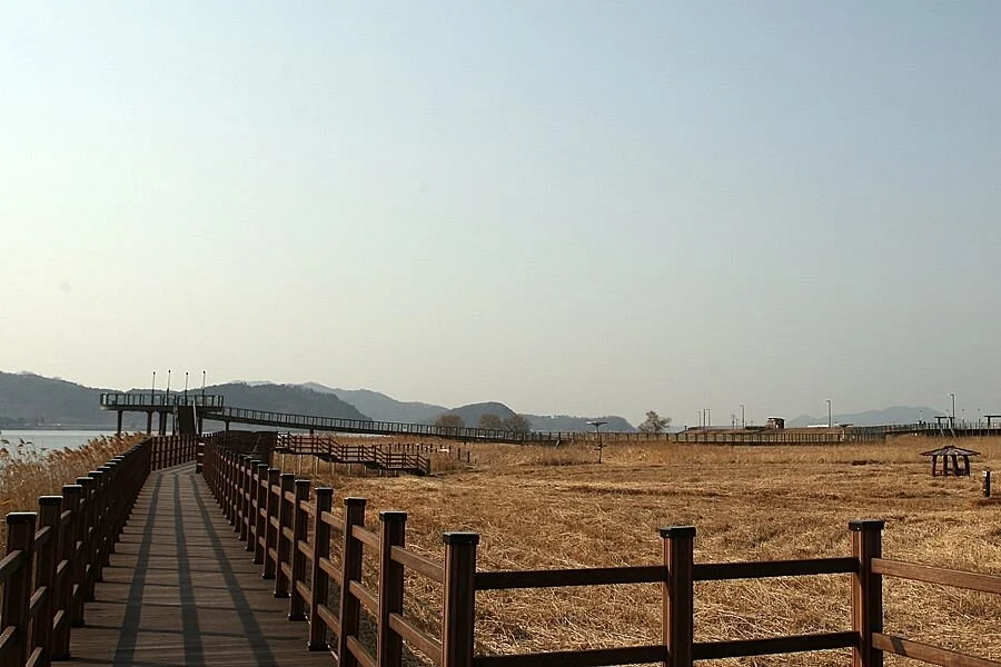 Sinseongri Reed Field