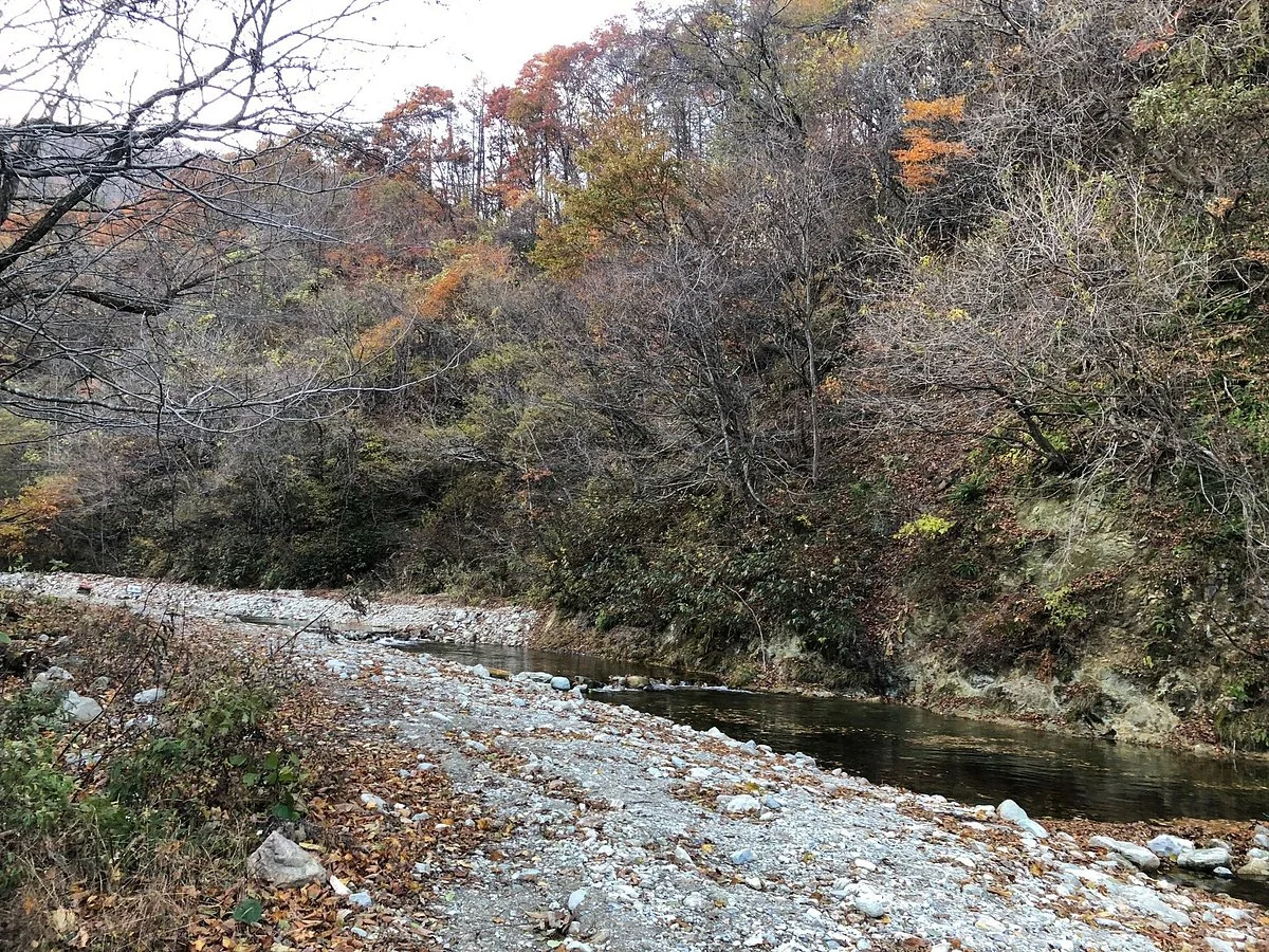 Sakunami Mountain Stream Fishing Field