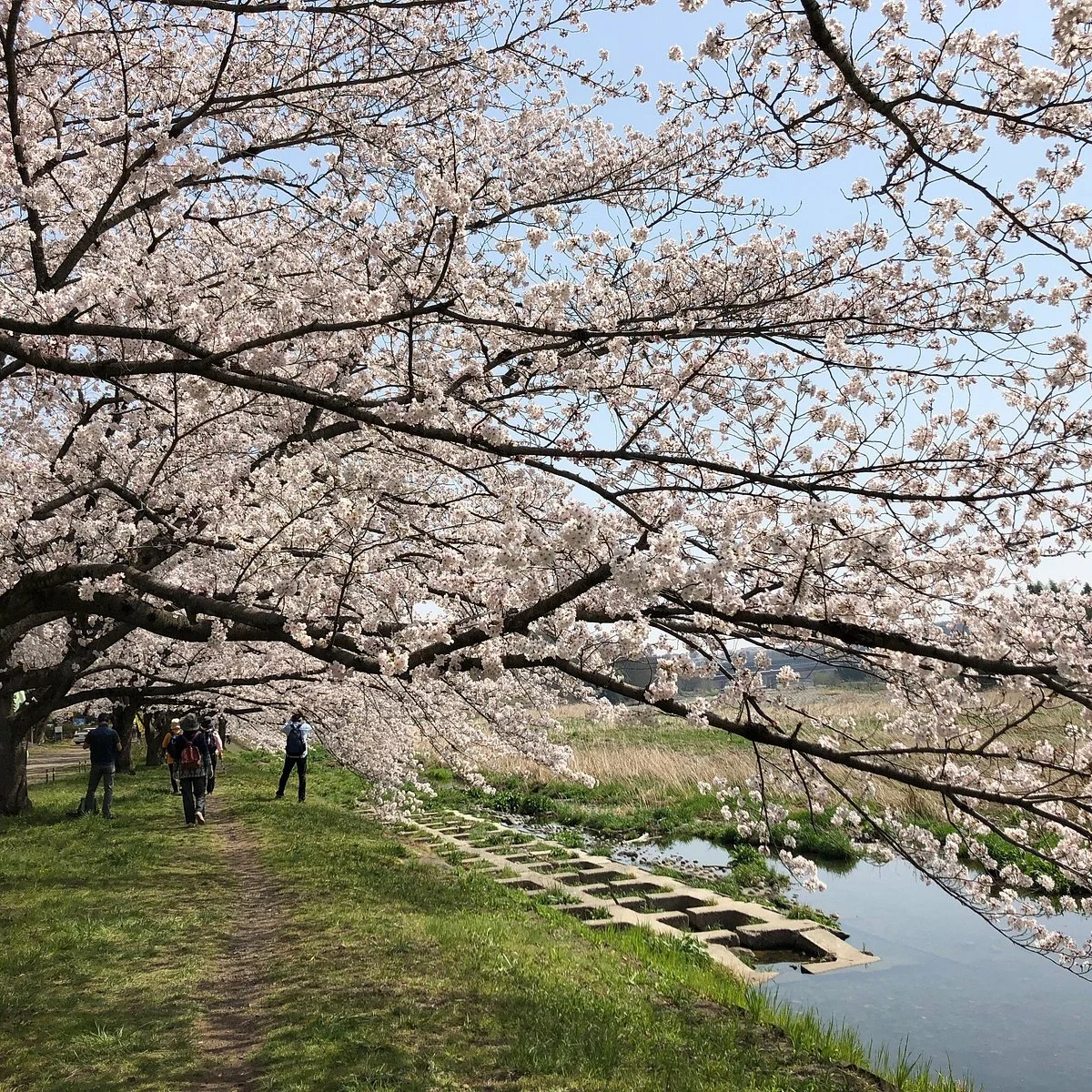 Irumagawa Promenade