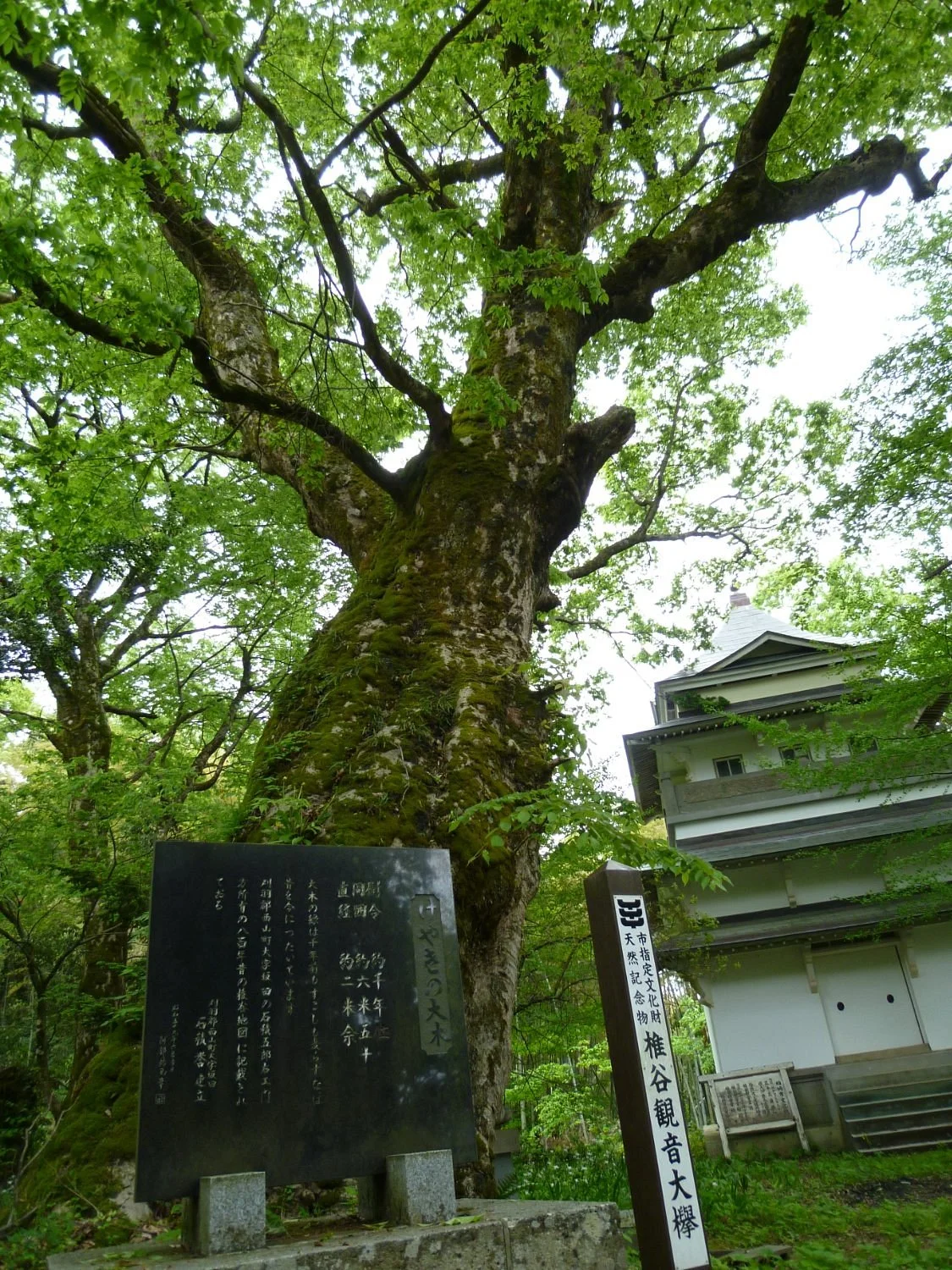 Shiiya Kannon Okeyaki